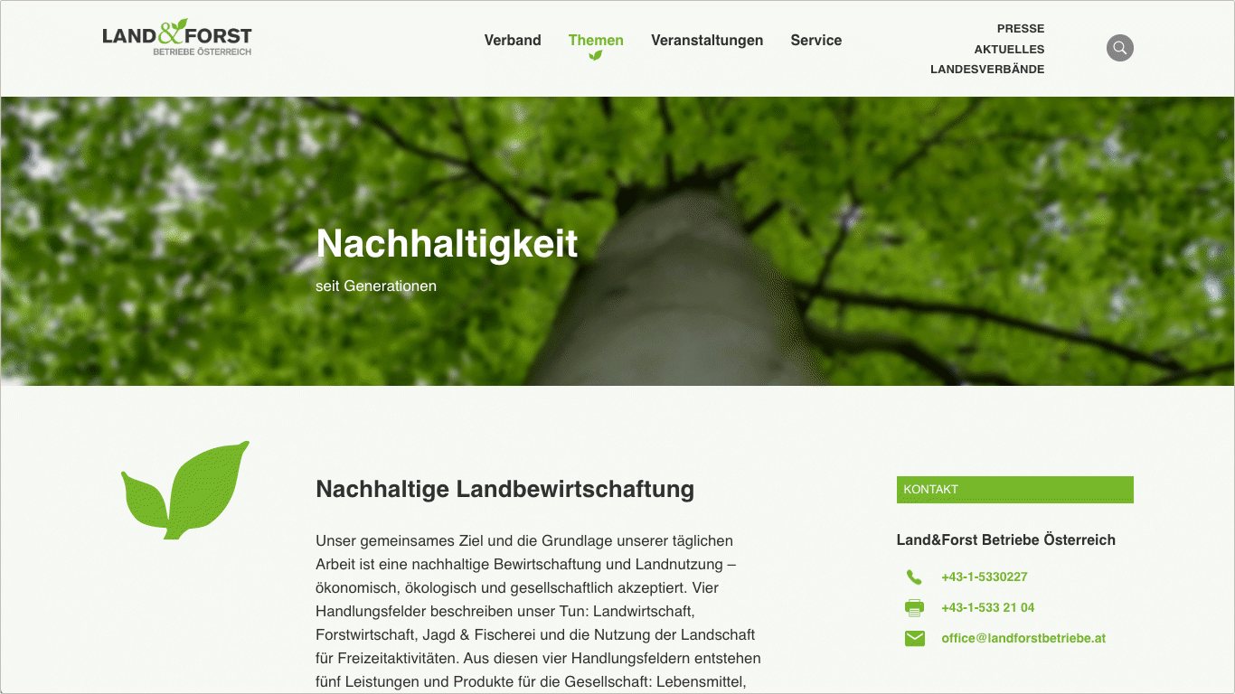 Konzept, Webdesign und technische Umsetzung der Website